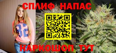 PSILOCYBIN Беслан