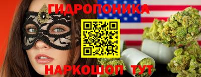 дурь Бийск