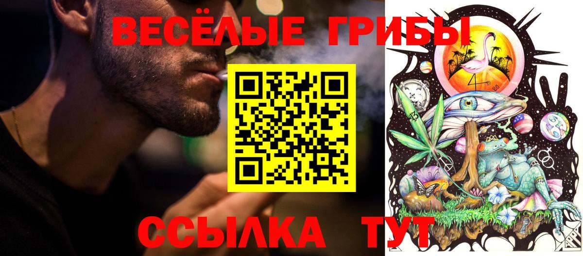 Псилоцибиновые грибы ЛСД  закладка  Кировск  Вход с VPN 